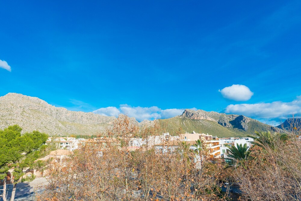 Europa 3b in Pollen a photo 2