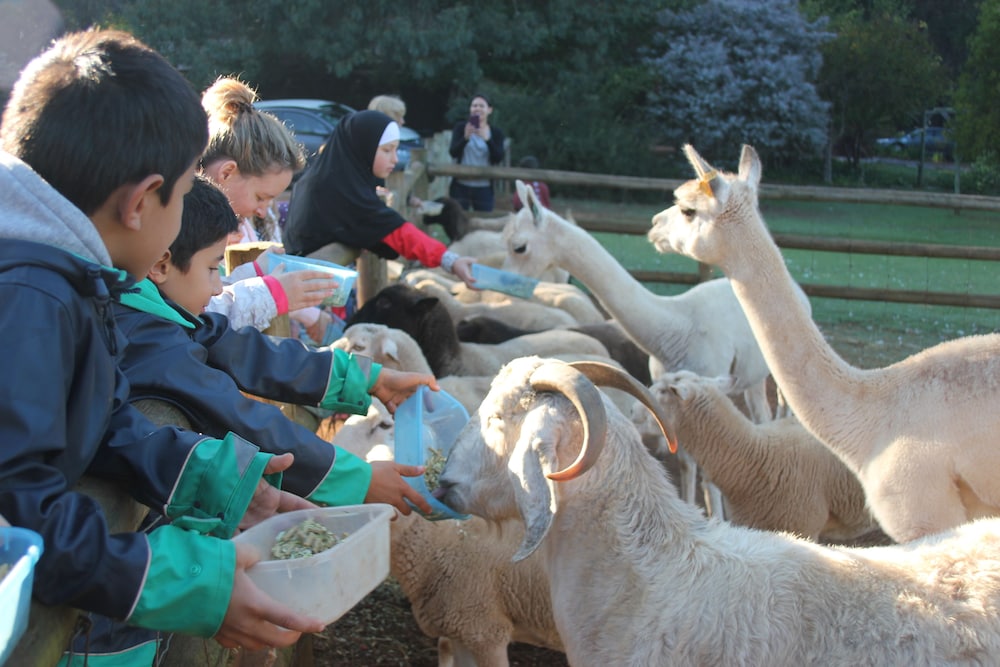 Pump Hill Farm Cottages