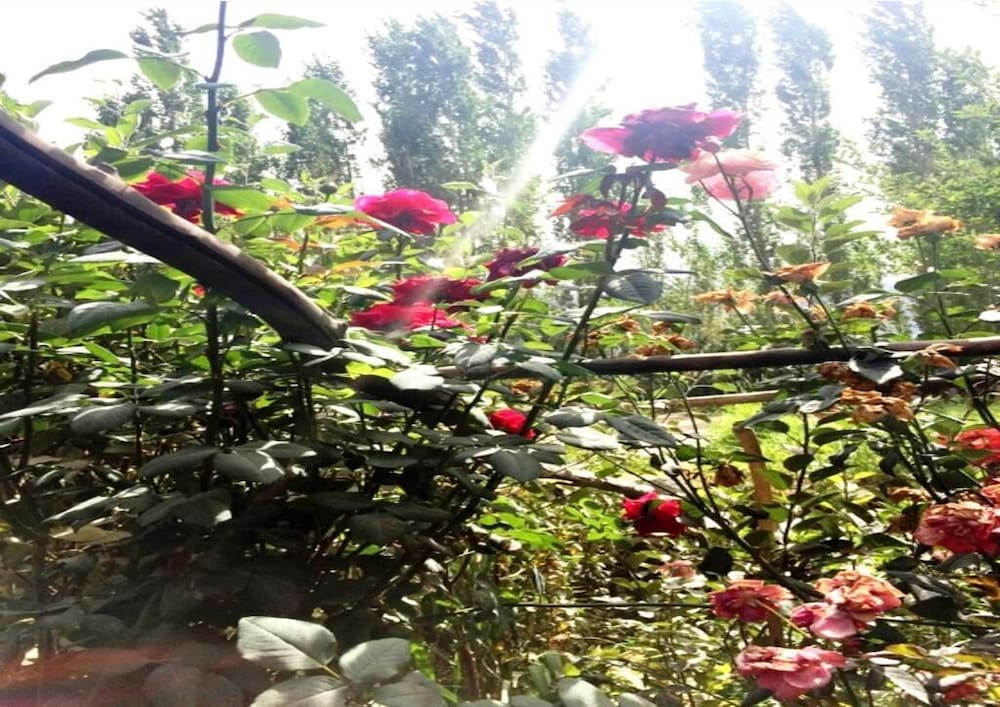TIH A O Guest House & Home stay