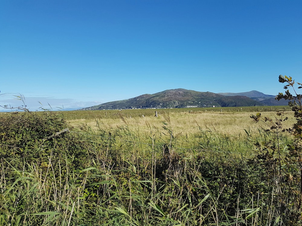 Bryn Y Mor
