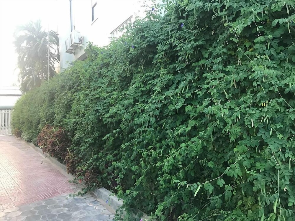 Photo 29