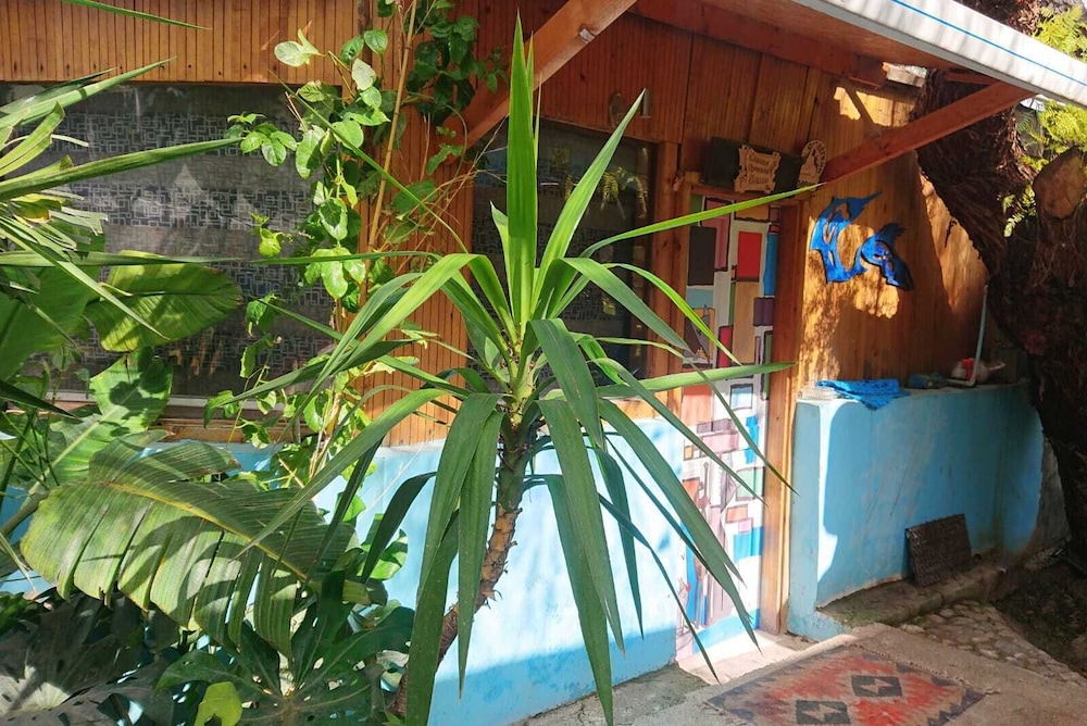 Photo 7