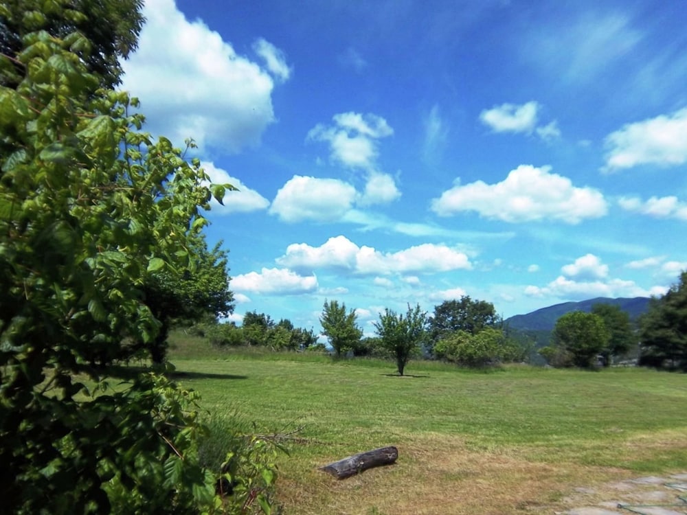 Photo 22