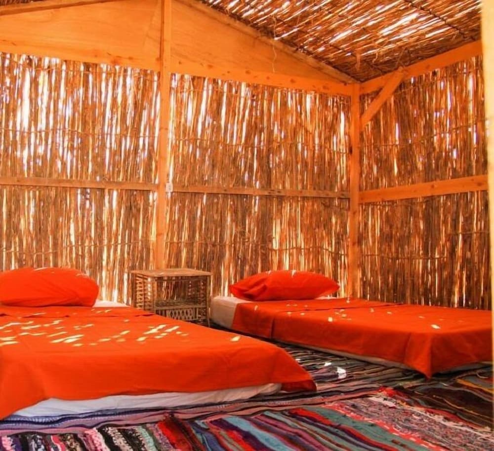 Ayla Camp