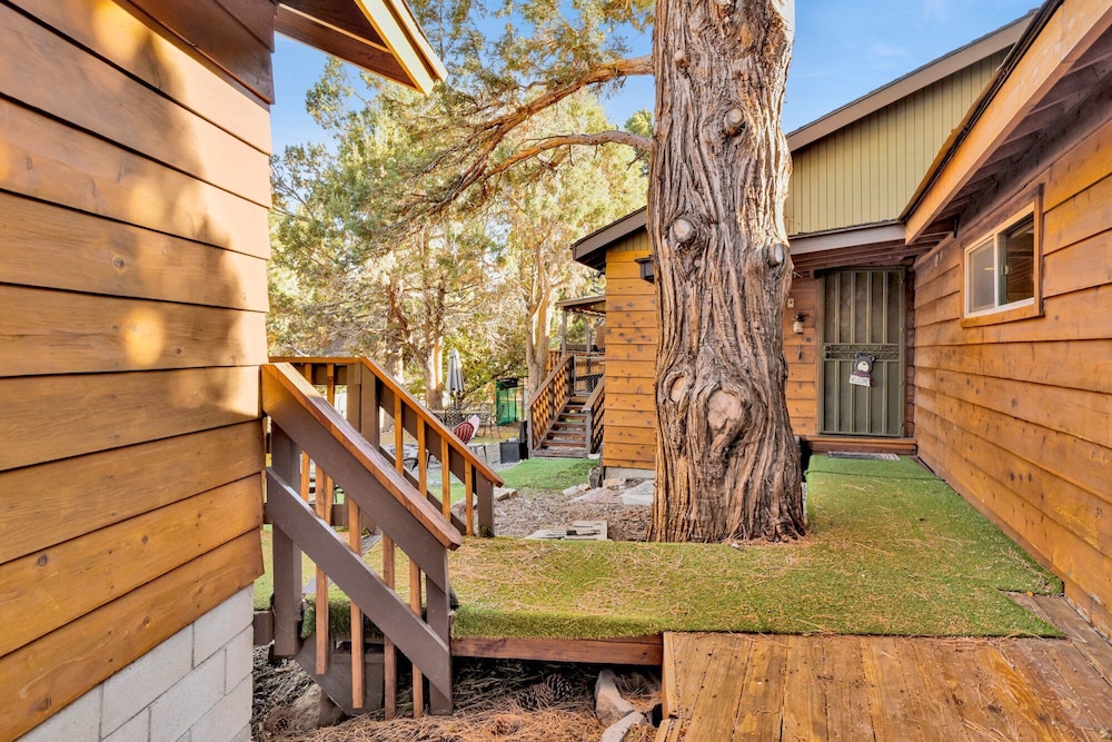Entertainment Cabin #610