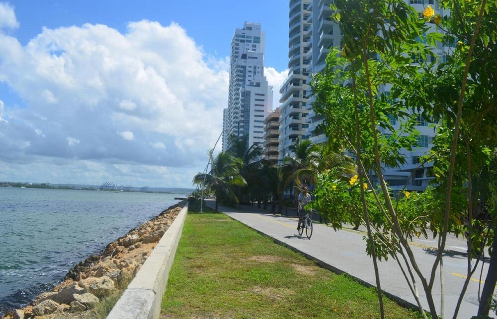 Photo 12