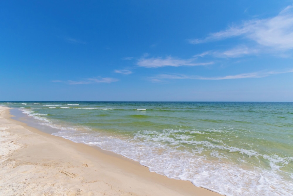 Palm Beach D-21