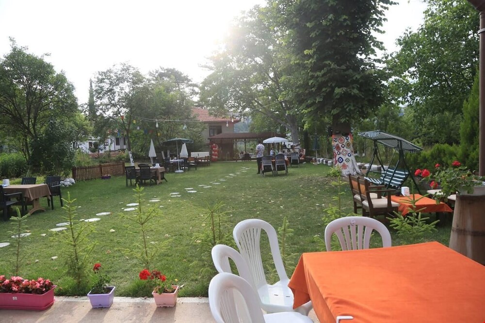 Photo 9