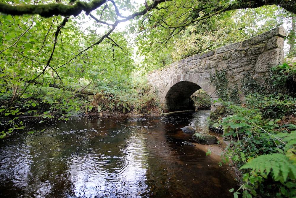 Newton Abbot Vacations - Gidleigh Park - Property Image 36