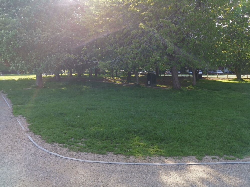 Photo 46