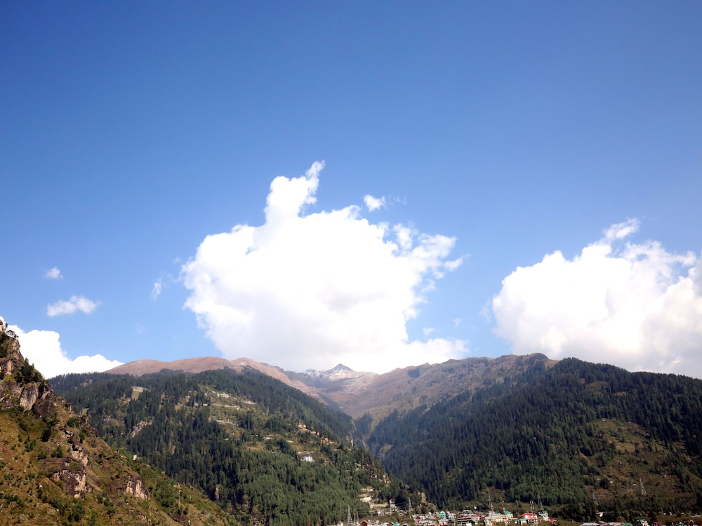 OYO 9995 Manali Plaza