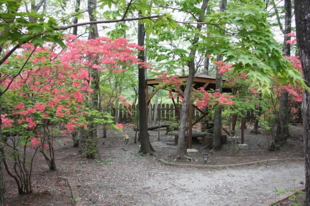 Photo 20