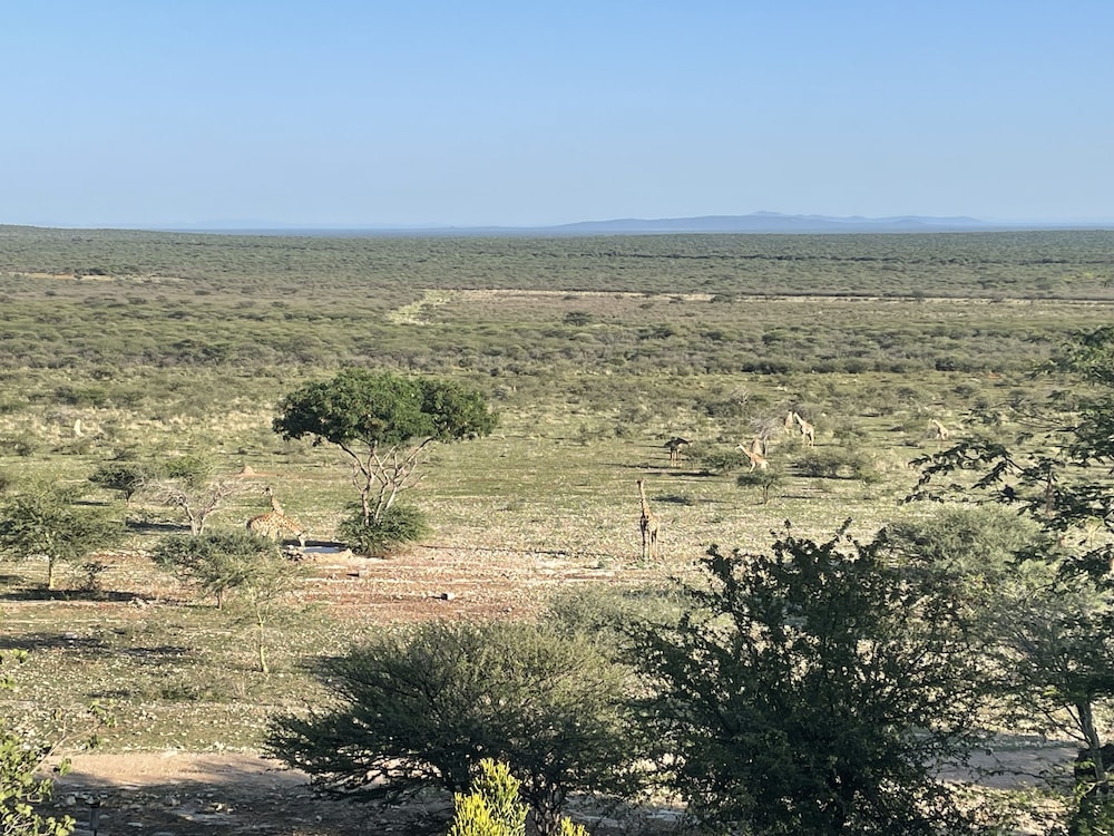 Aloegrove Safari Lodge