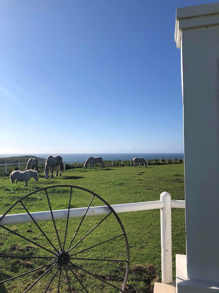 T'Niqua Stable Inn