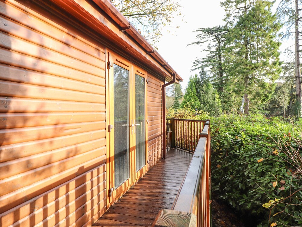 Treetops