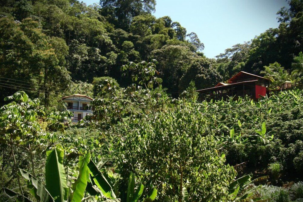 Recanto Primata