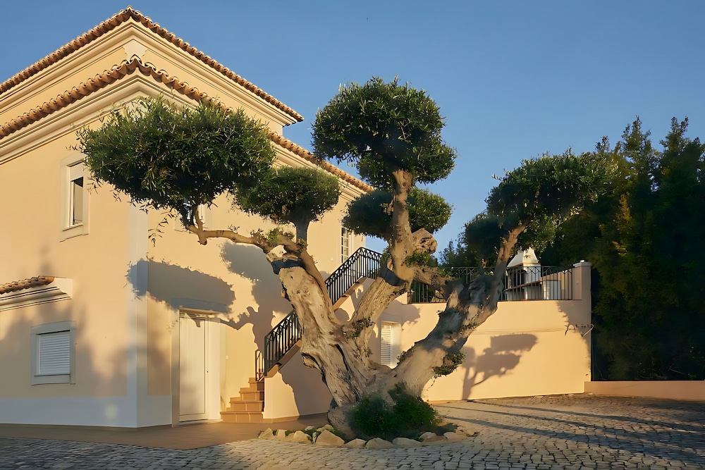 Villa Monte das Oliveiras