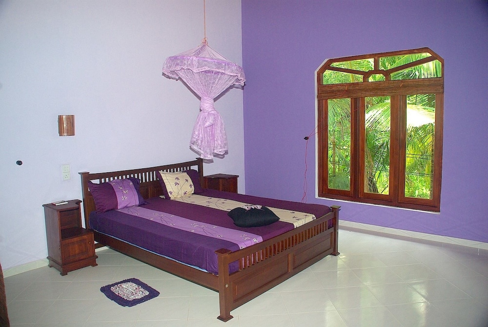 King Coconut Lodge view 4