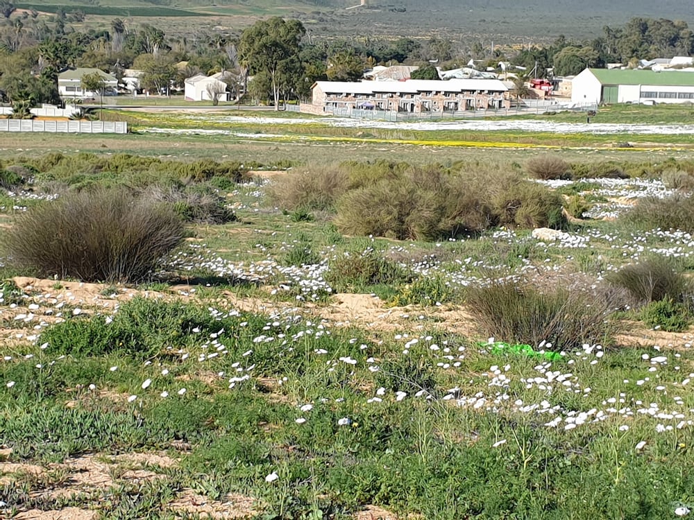 Clanwilliam Accommodation