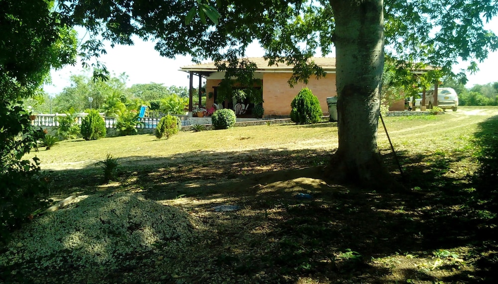 Photo 27