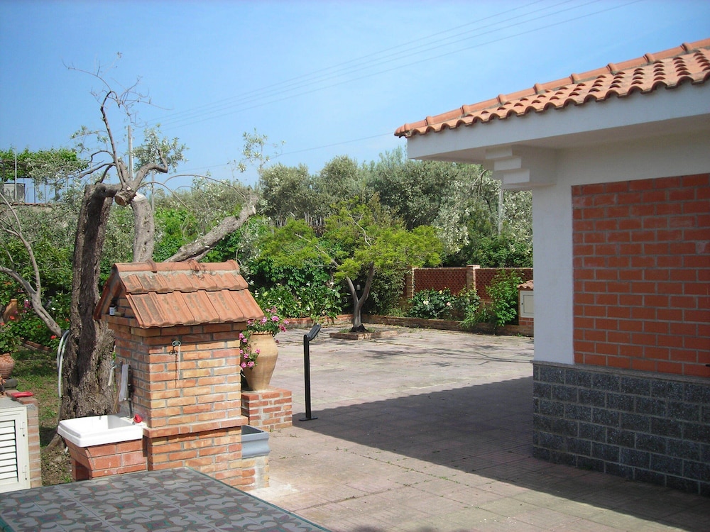Photo 25