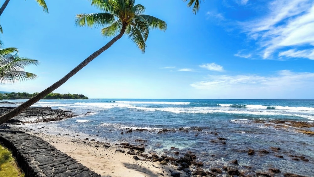 Stunning Top Floor Ocean Front Condo AC & Wifi