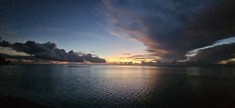 Moorea - Tropical Nest