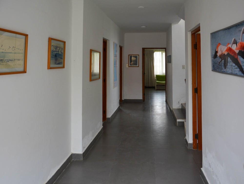 w Modern 5BR With Private Pool in Paracas