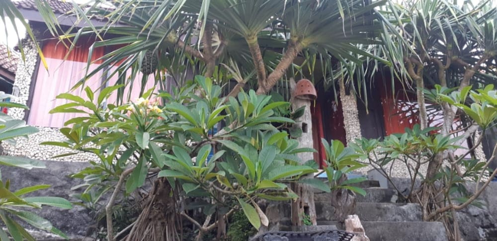 Penginapan BoB Home view 5