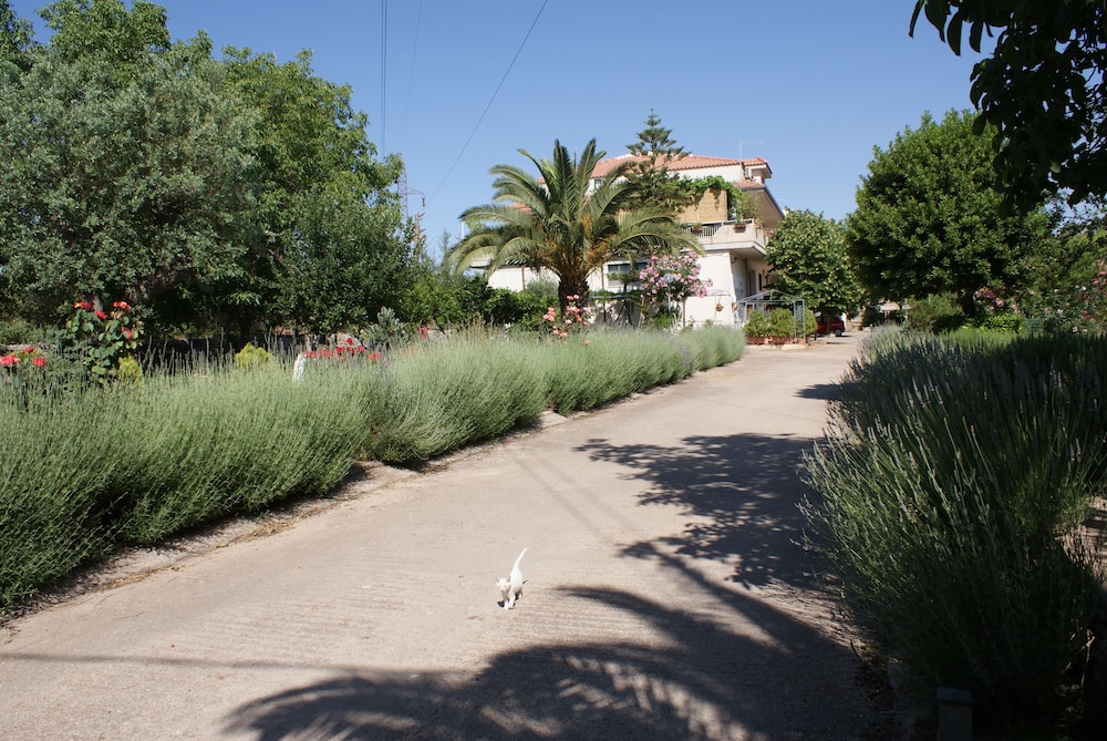 Photo 35