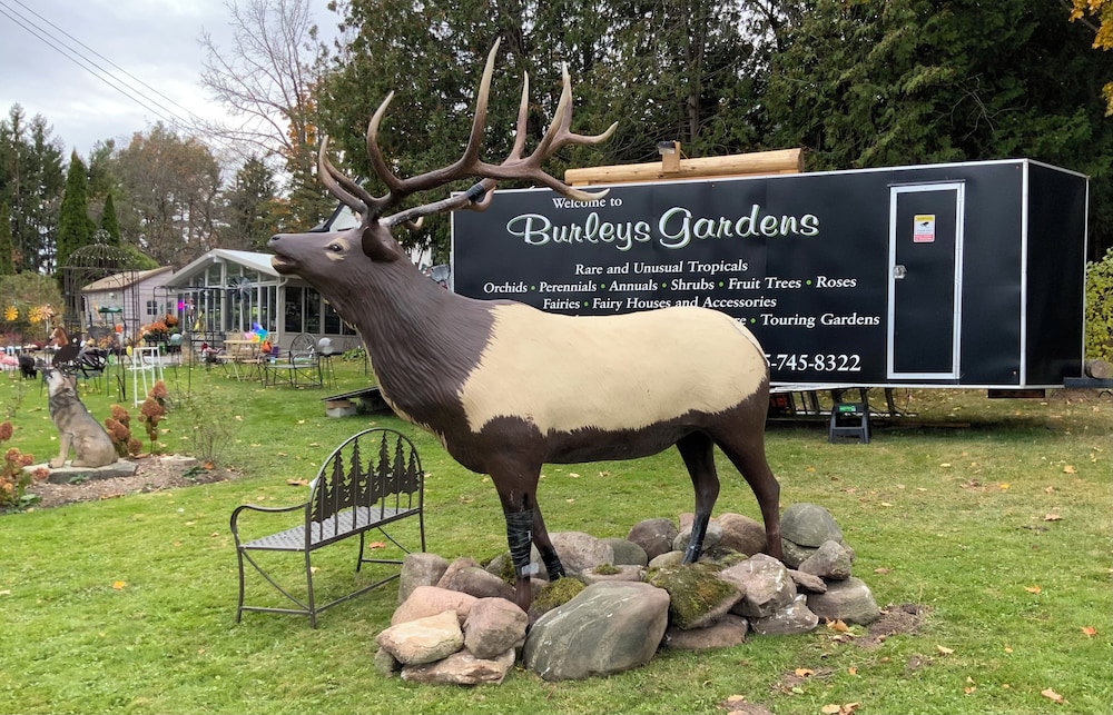 Burleys Gardens and Suite