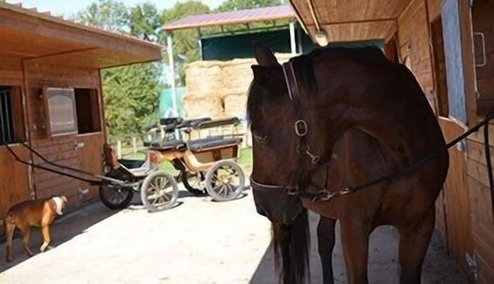 Agriturismo San Giovanni
