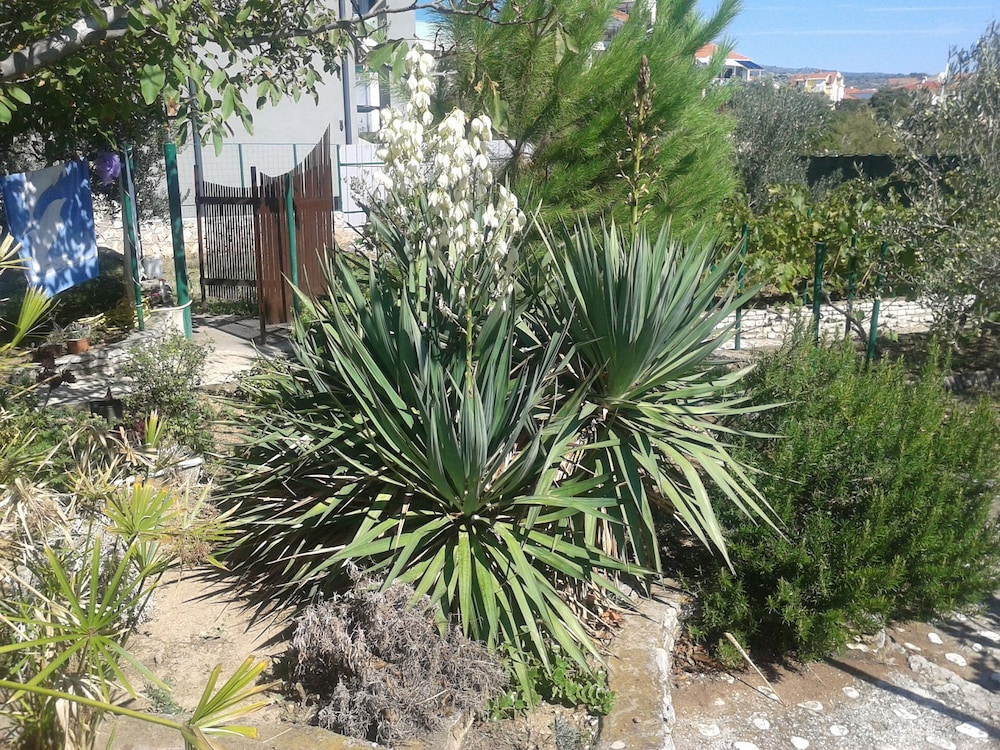 Photo 21