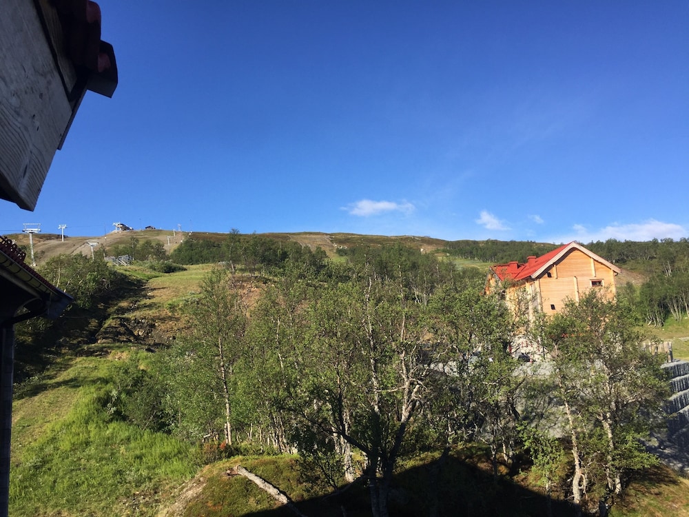 Iskuben i Hamra