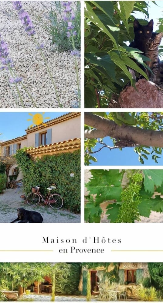 Bastide Cedrea