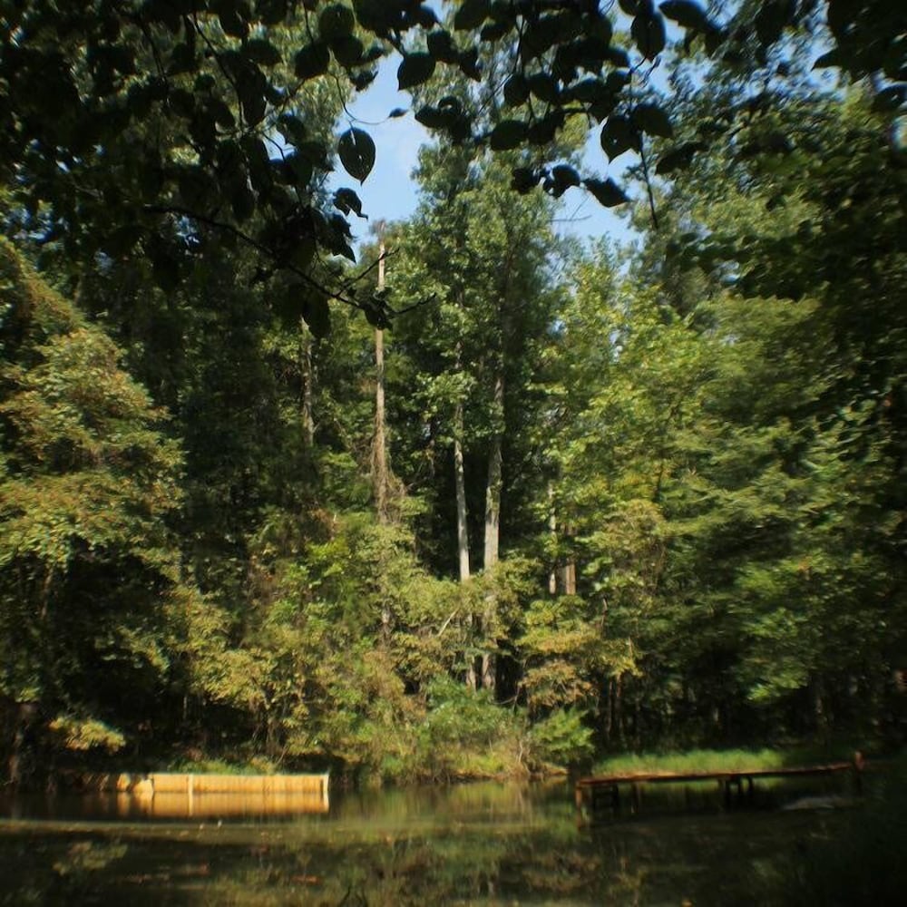 Photo 40