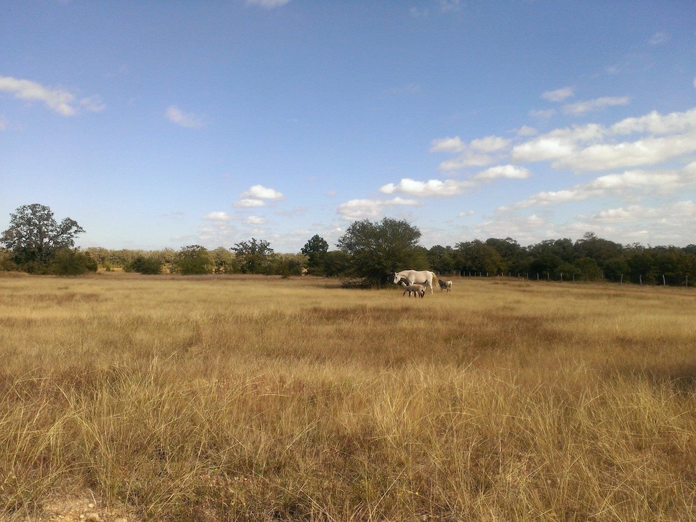 Night Bird Ranch