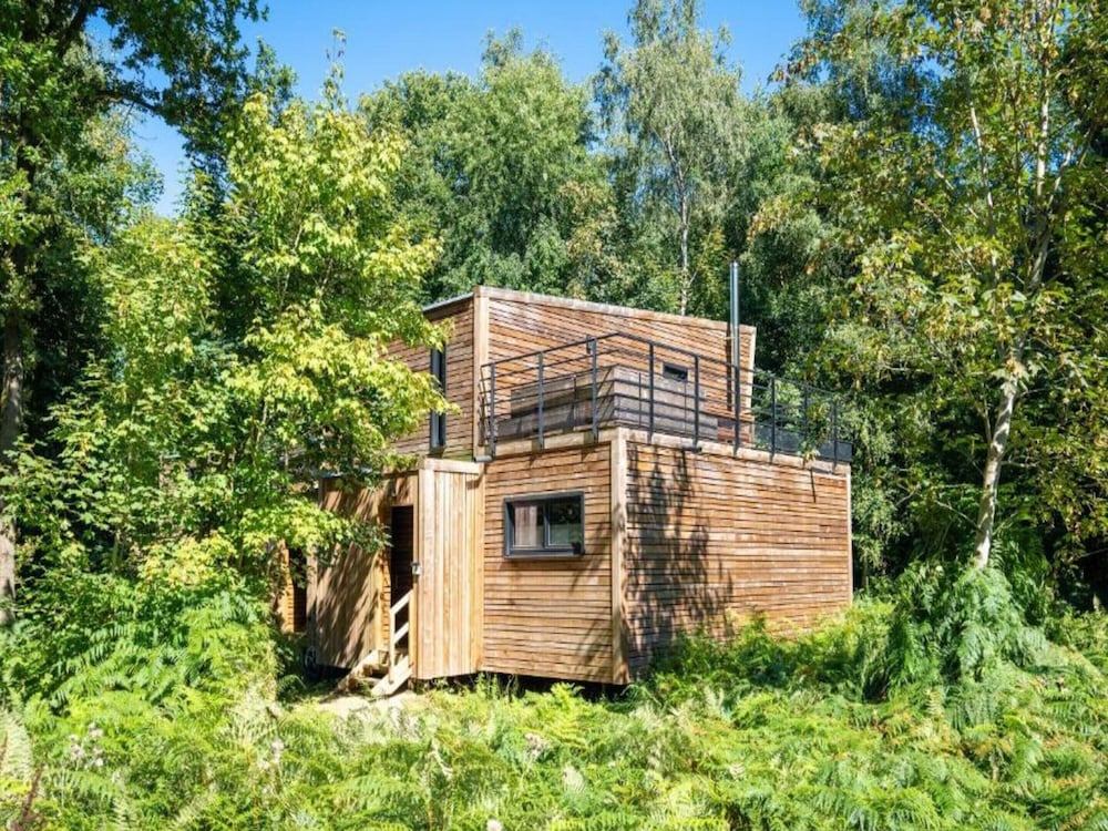 Tranquil Forest Hideaway