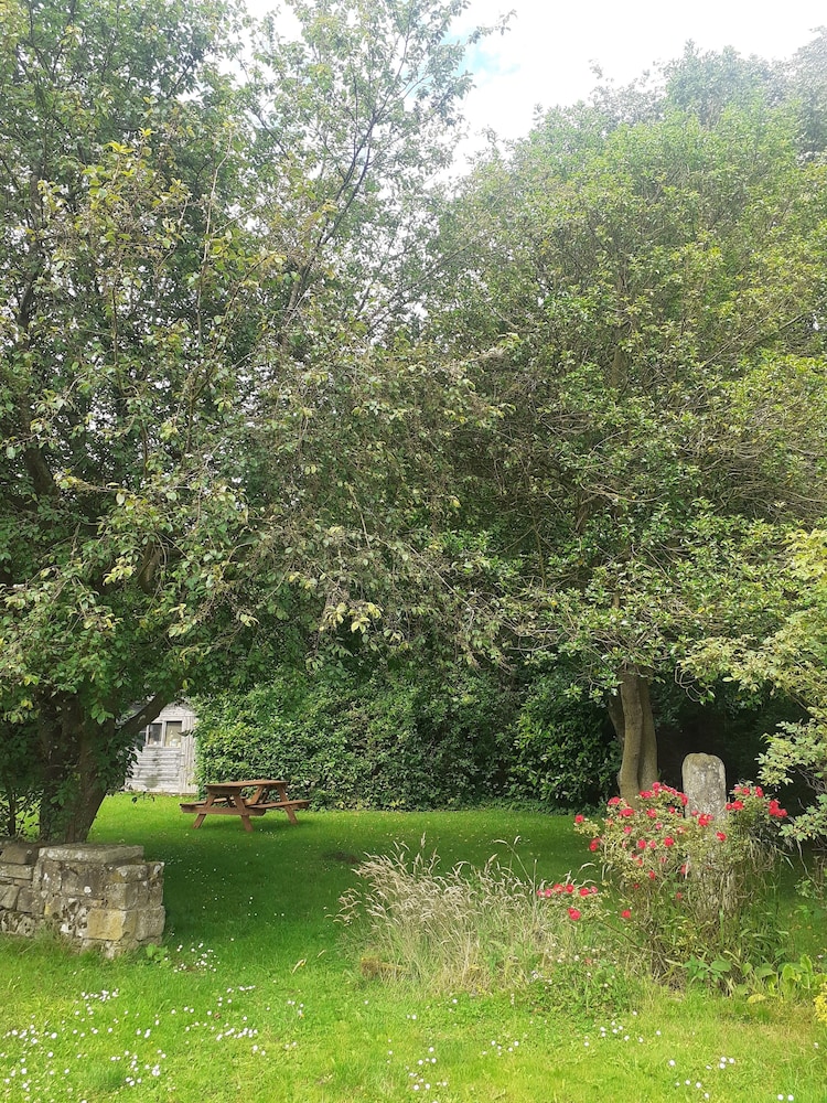 Photo 41
