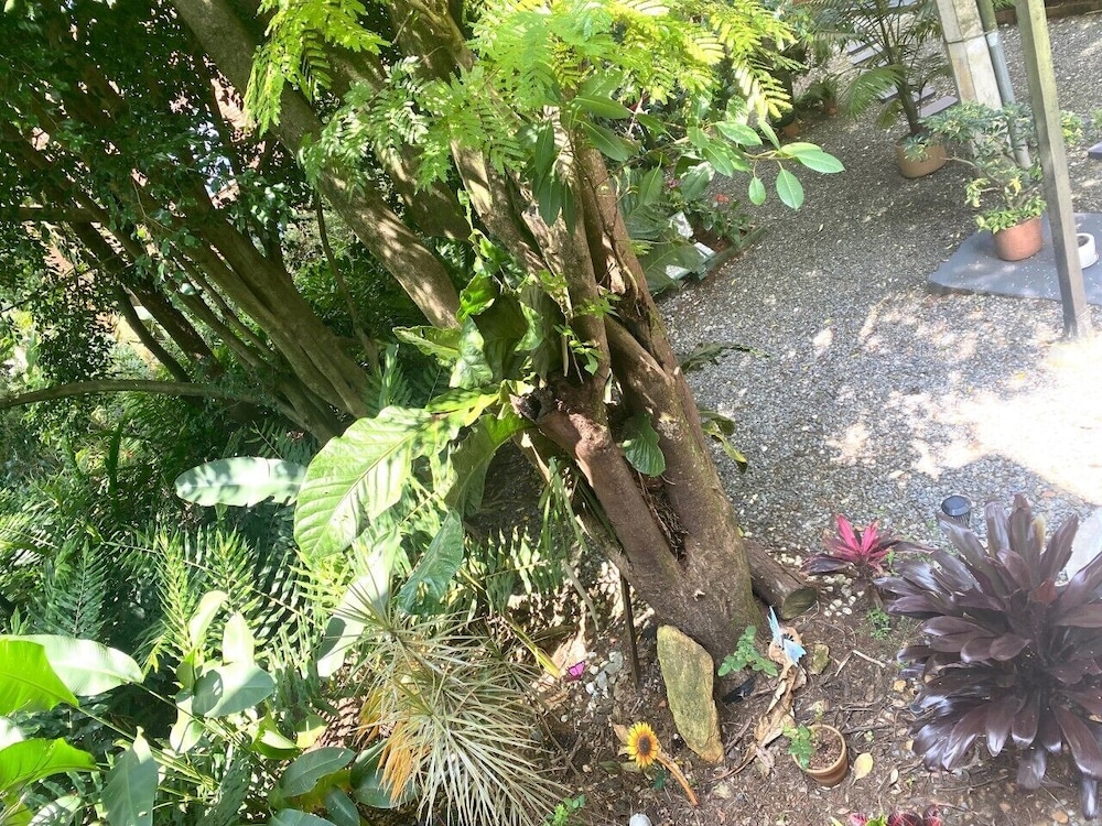 CASA SUYTE LEGUIZAMON - Property Image 16