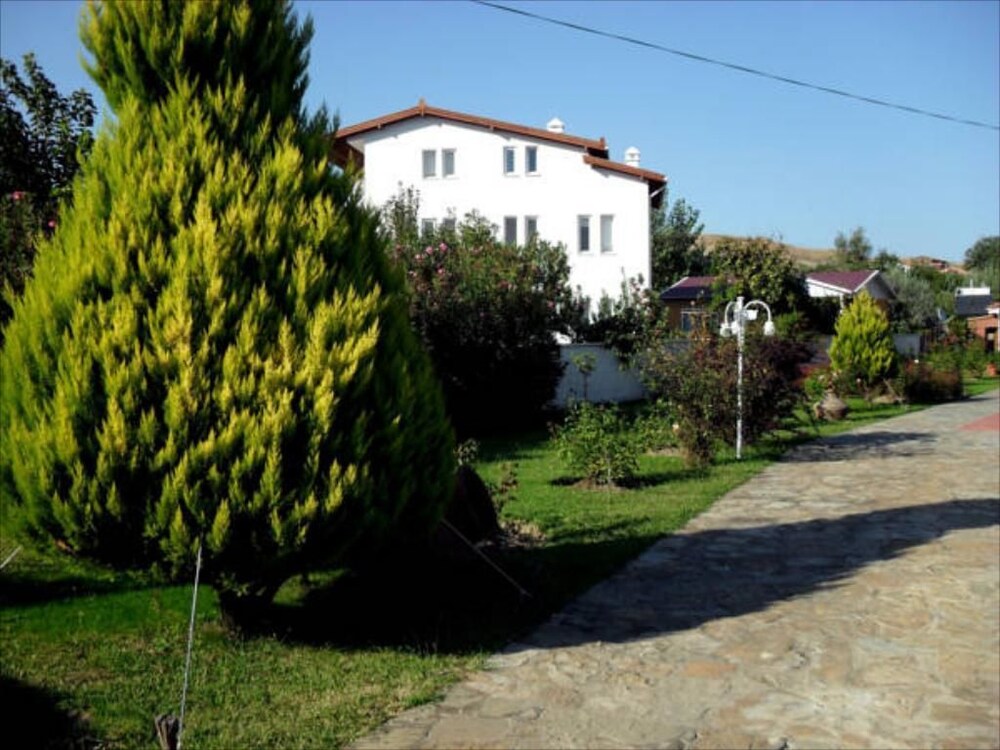 Photo 13