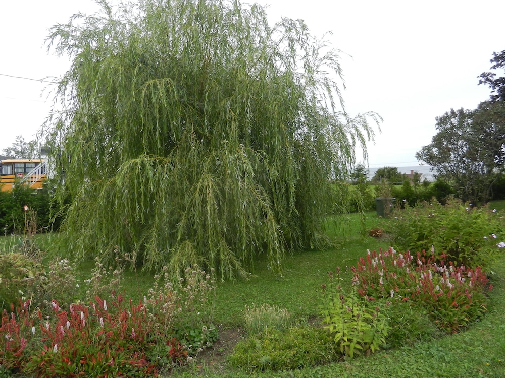 Gîte La P'tite Falaise