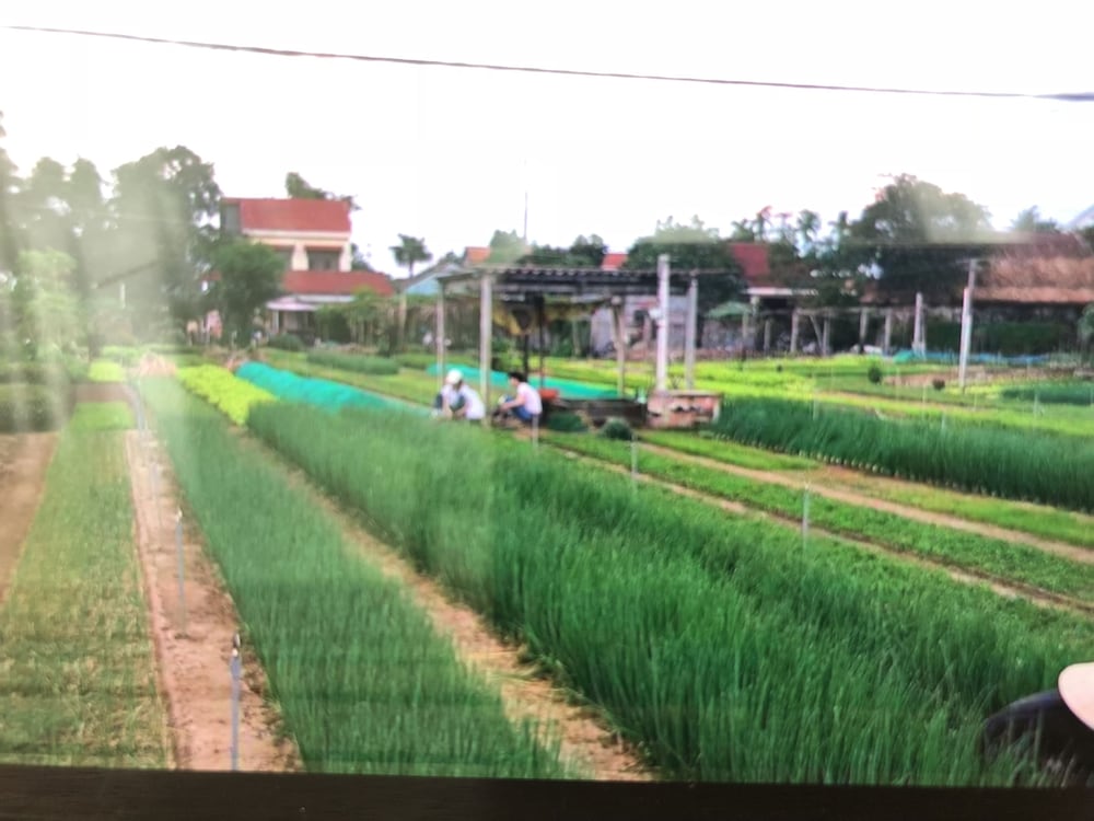 An Bang Garden Homestay