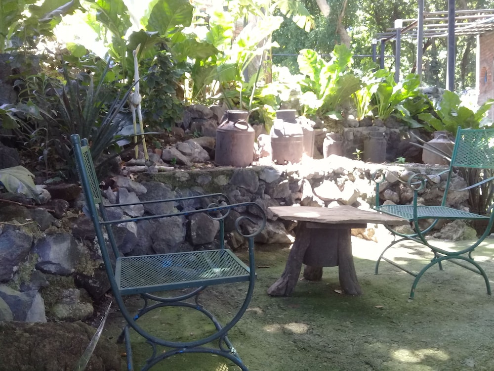Photo 38