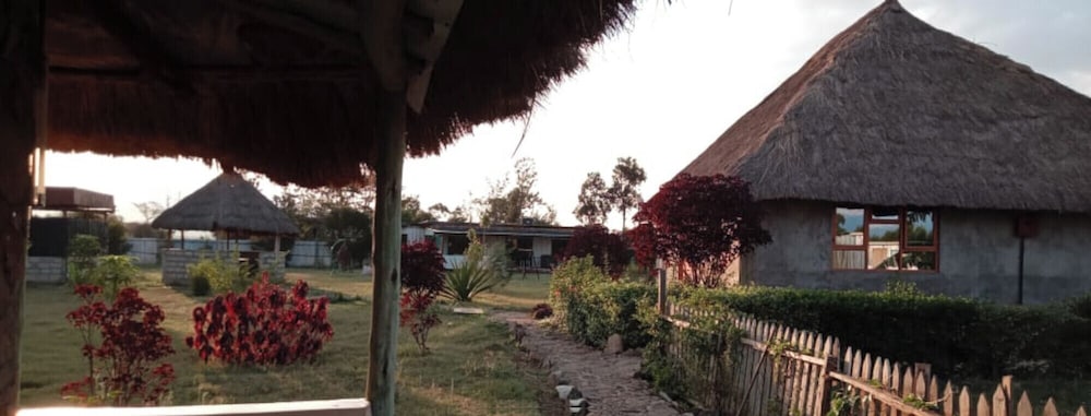 Photo 44
