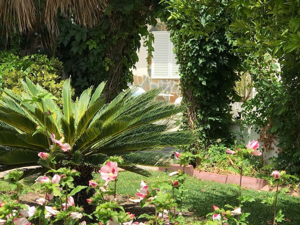 B&B Cortijo Andaluz