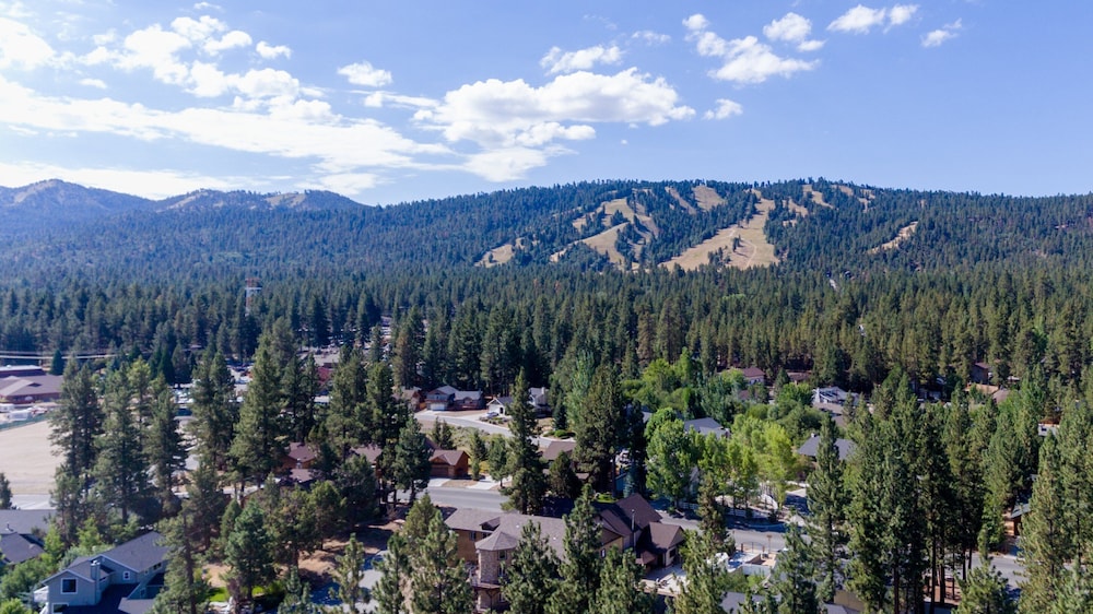 Sugar Bear Retreat #2319