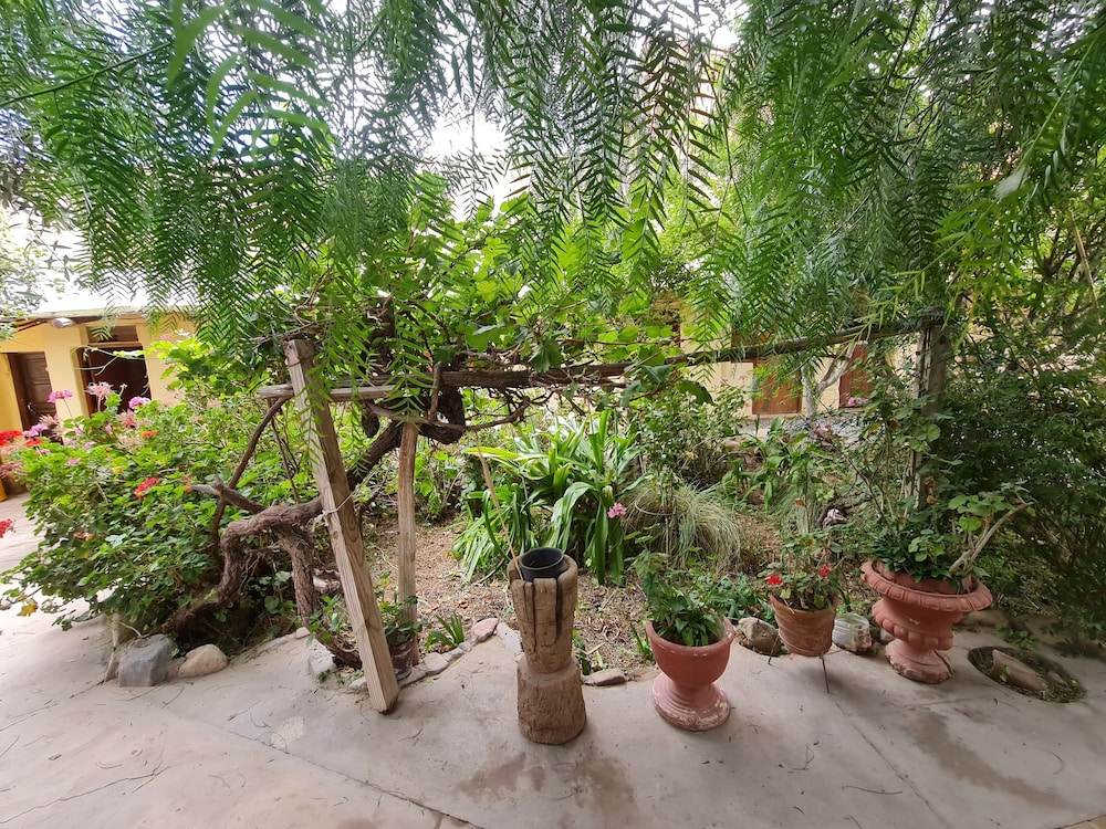 Andino Hostel