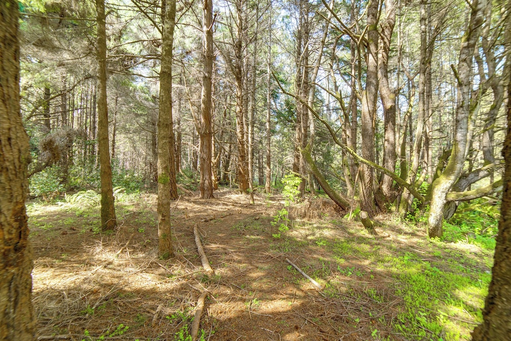 Hot Tub, 1 Mi to Beach: 12-acre Fort Bragg Cabin!
