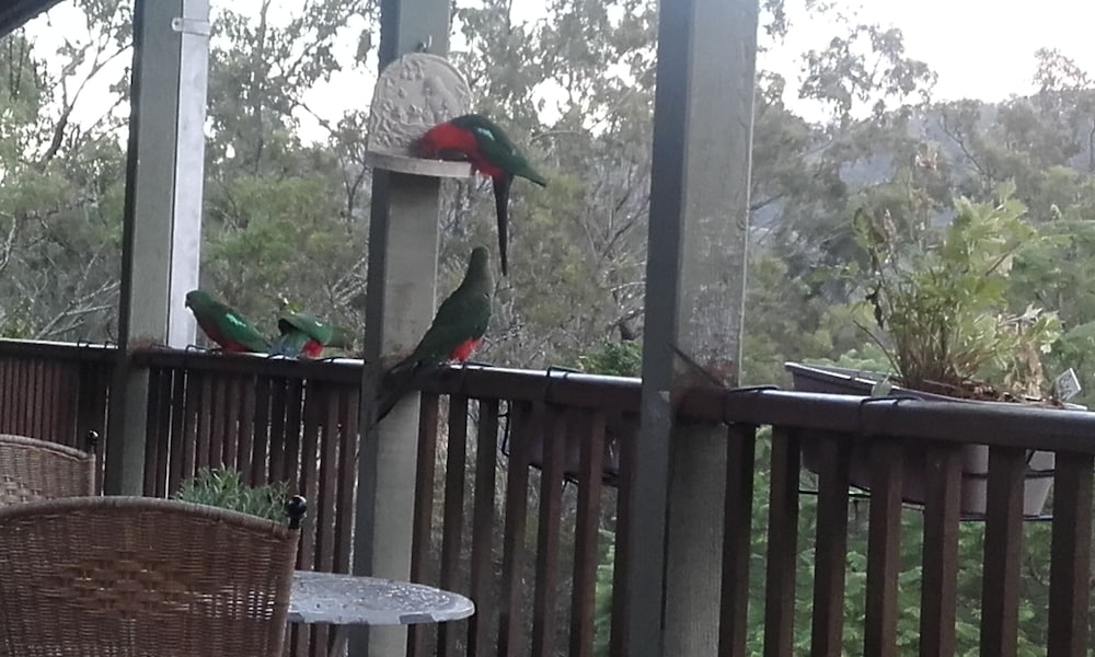 Pearl of Contentment Retreat - Property Image 32